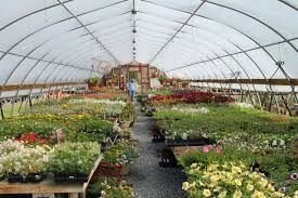 Our range of garden kits is perfect for the backyard gardeners wanting to grow their own herbs and vegetables at supercharged rates with minimal maintenance. Starting Your Garden Here S How The New Coronavirus Rules Are Disrupting Plant Sales Pennlive Com