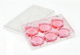 This guide contains general technical information for working with animal cells in culture, including media, subculturing, cryopreservation, and contamination. What To Look For In Cell Culture Vessels Lab Manager