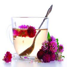 Red Clover Tea Lal Tarfeel Ki Chai Jariboti