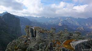You can reduce stress while saving time and money. Rwenzori Mountains National Park Uganda Tourism Center