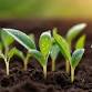 Annual Tree Planting Extravaganza event image