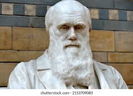 12+ Thousand Darwin Evolution Royalty-Free Images, Stock Photos & Pictures 