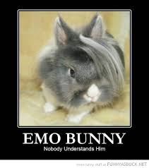 90 1139 bunny rabbit gun. Funny Rabbit Quotes Quotesgram