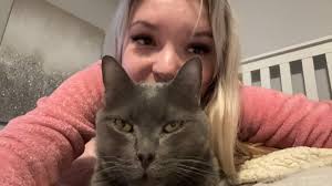 How to find a lost indoor cat in the North High Street area?