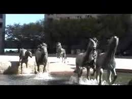 To start, check out the concerts and events over at irving's incredible toyota music factory, located in las colinas.this mega entertainment complex is home to dozens of bars and restaurants as well as the pavilion at toyota music factory. Mustangs Of Las Colinas Youtube