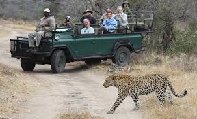 Guney Afrika Gezilecek Yerler Cape Town Johannesburg Gezi Notlari