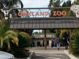 Oakland Zoo Oakland Ca Oakland Zoo Zoo Oakland