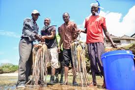 Patrick Kimani (PhD)