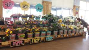 We did not find results for: Flower Section Signs Flower Store Display Creative Display Flower Store