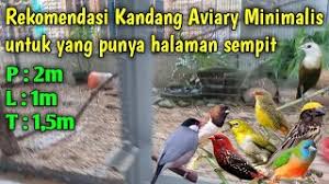 Cara aman menangkap burung dari kandang aviary om kicau from omkicau.com yang dimaksud dengan sistem kandang postal ini yaitu sebuah kandang tanpa tempat pengumbaran, jadi ayam akan tetap berada dalam kandang beralaskan litter. ëˆ„ë‚ 