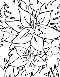Math addition subtraction coloring simple. Hawaiian Tropical Flowers Coloring Page Mama Likes This