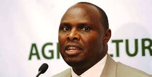 Miriam Gitau's Instagram, Twitter & Facebook