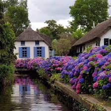 Netherlands giethoorn is a cute dutch village in the netherlands. Giethoorn Netherlands Posts Facebook