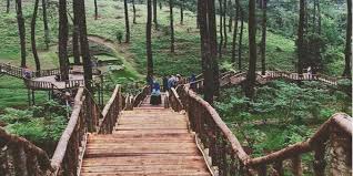 Rth yang berada di perempatan tomang menuju tol kebon jeruk ini panoramanya. Harga Tiket Masuk Orchid Forest Lembang 2020 Wahana Fasilitas