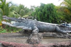According to legend, bujang senang was formerly human before he was transformed into a monstrous crocodile, and had been living on for more than hundreds of years. Sarawak Jong S Crocodile Farm And Zoo Tour From Kuching Dollar