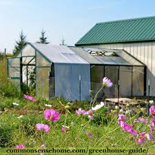 Watch the video explanation about how to make a diy greenhouse online, article, story, explanation, suggestion, youtube. Greenhouse Guide What You Need To Know Before You Build