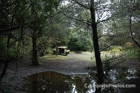 Check spelling or type a new query. Grayland Beach State Park Campsite Photos Info Reservations