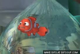 We did not find results for: Darla Finding Nemo Gif Why Are You Sleeping