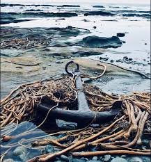 Bryan Adams Everything I Do It For You перевод Pin By Stella Chaos On Kraken Fairy Tales Bear Totem Character Aesthetic Got Game Of Thrones