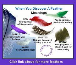 Meaning Of Feathers You Find Feather Meanings Finding Feathers Feather Meaning