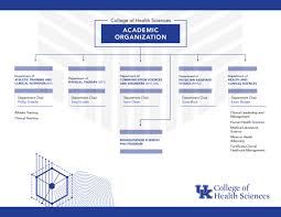 organizational charts university of kentucky college of