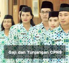 Gaji pns 2021 kabarnya terdiri dari komponen gaji dan 2 tunjangan saja, yakni tunjangan kinerja dan tunjangan kemahalan, ini detail gaji pns tiap golongan. Berapa Gaji Dan Tunjangan Cpns Wikipns