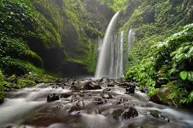 Air terjun benang kelambu masuk dalam daftar air terjun paling cantik di indonesia lho. 5 Air Terjun Di Lombok Ini Panoramanya Juara Wajib Dikunjungi