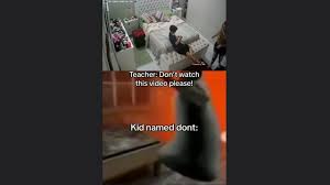@Victor_videossss video Tweet