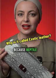 Enshrouded Reptile Leather