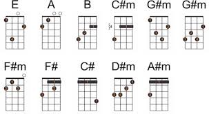 Cifra De Ukulele De The Blower S Daughter De Damin Rice Toca Ukulele En este post vamos a explicaros los primeros pasos para empezar a tocar el ukelele! ukulele de the blower s daughter