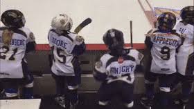 We regularly add new gif animations about and. Top 30 Funny Hockey Gifs Find The Best Gif On Gfycat