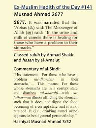 Did the prophet muhammad ever drink camel's urine | shaikh assim al hakeemahle ilm. Hotd 141 Muhammad Blinds Mankind With The Light Of Divine Wisdom If Then Exmuslim