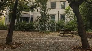 İstanbul'da bulunan boğaziçi üniversitesi başarı sıralaması ve taban puanlarını araştırdık. Ekonomi Bolumu Bogazici Universitesi Ekonomi Bolumu