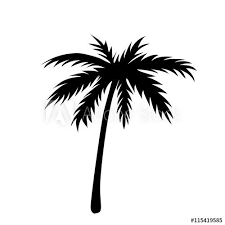 Black And White Outline Coconut Tree Clip Art Black Coconut Tree Silhouette Isolated Palm Tree Outline Cartoon Palm Tree Tree Silhouette