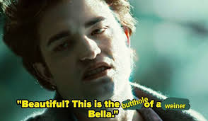 Beautiful? This is the butthole of a weiner Bella."