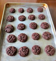 These cookies have no oil, no added sugar and no flour. Egg Free Dairy Free Chocolate Cookies Joyful Homemaking