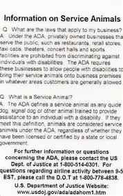 The cost of pet transport can vary significantly based on a variety of factors, but on average a short distance domestic journey will cost between $100 to $300 whilst longer domestic journeys can range from $350 to around $600. 19 Best Pet Transport Service Ideas Pet Transport Pet Transport Service Pets
