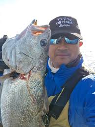 Hey guys what's everyone's go to bait for river jewfish?