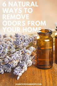 Cameron recommends dismantling the seat and applying a paste of baking soda and water on all the target areas. Get Rid Of Bad House Smells Naturally With These 6 Tips