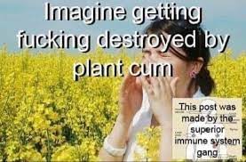 Hayfever Can Eat An Ass Memes