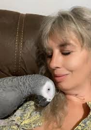 Meet ricco i brought him home last Wednesday i had been staying with  friends while homeless and he was there bird and he fell inlove with me and  me him! They kindly