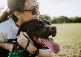 As a 2 decade long animal warden and animal cruelty investigator for a large city with a dog fighting problem i am. My Dog Has Pain Or Difficulty Opening Its Mouth