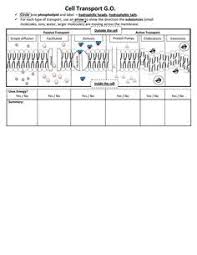 Go Cell Transport Pdf Biology Lessons Teaching Biology Cell Theory