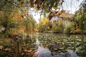 Despre delta dunarii vom discuta in randurile care urmeaza, si veti putea descoperi unele informatii pretioase. Cadou Pentru Bunici OferÄƒ Le O ExperienÈ›Äƒ UnicÄƒ O VacanÈ›Äƒ In Delta DunÄƒrii Sfaturi È™i Idei Pentru Un Sejur In Delta DunÄƒrii Green Village Resort