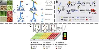 Due to the diversity of proteins used for coating in elisa, there are a wide range of specialist microplates available which have a variety of binding properties proper titration of all antibodies to be used in the assay, as well as the sample, ensures that the signal to noise ratio is optimal; Emerging Strategies To Enhance The Sensitivity Of Competitive Elisa For Detection Of Chemical Contaminants In Food Samples Sciencedirect
