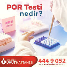 Rapid pcr tests are currently available for individuals and groups in calgary. Covid 19 Pcr Testi Pcr Testi Ozel Ordu Umut Hastanesi Facebook