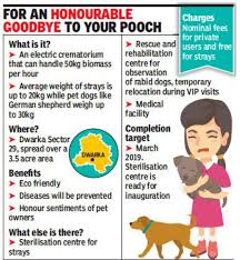 Aquamation is a greener form of cremation that uses alkaline hydrolysis to process pet remains. Delhi To Get 1st Govt Run Crematorium For Dogs Delhi News Times Of India