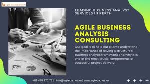 Leading Business Analyst Services In Perth In 2020 Business Analyst Budgeting Business