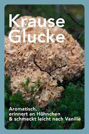 pin auf rezepte von schlaraffenwelt de