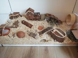 Hamster Cage Teddy Hamster Hamster Ikea Tischplatten